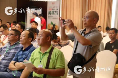 以節(jié)作媒 助推銷售 玉屏黃桃世界 貢 享